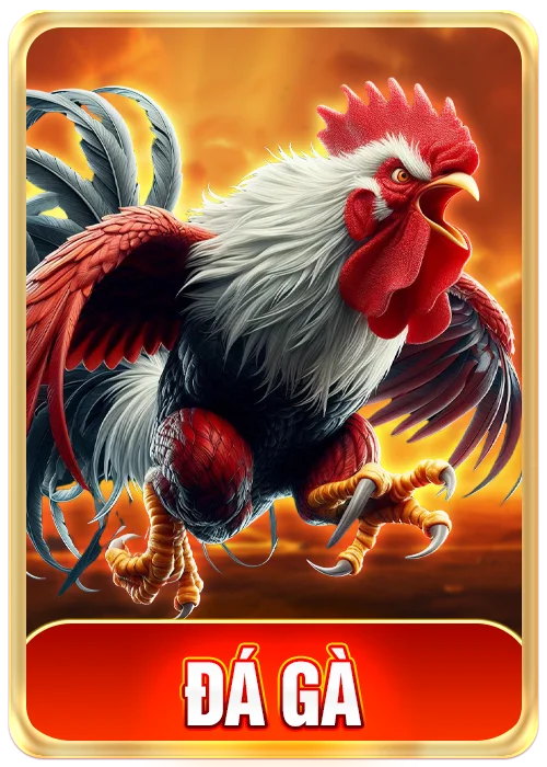 ĐÁ GÀ FIVE88